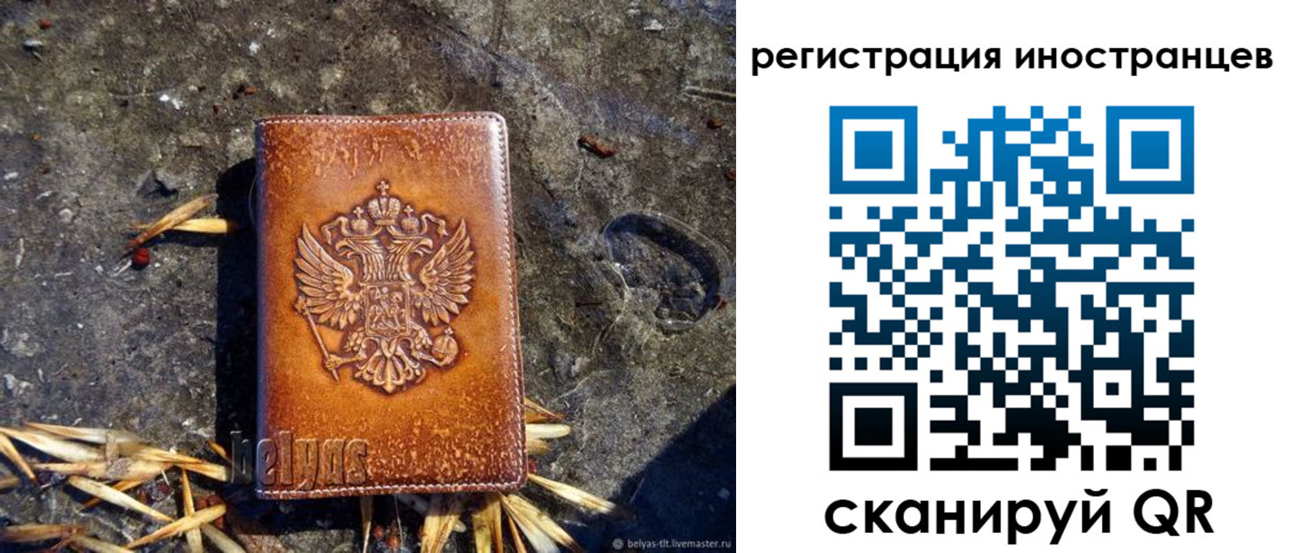 прописка регистрация в Завитинске